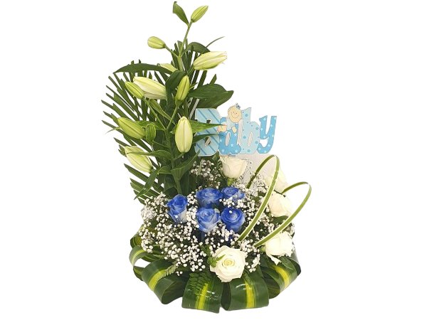Baby Boy Arrangement 3 - Larissa