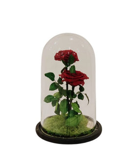Medium 2 Preserved Roses With Extra Green Leaves - Larissa