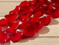 Petals - Larissa