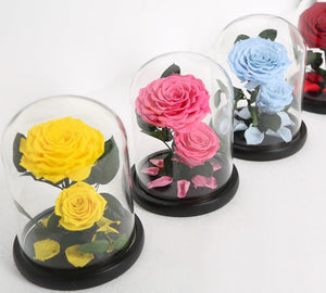Small 2 Preserved Roses - Larissa
