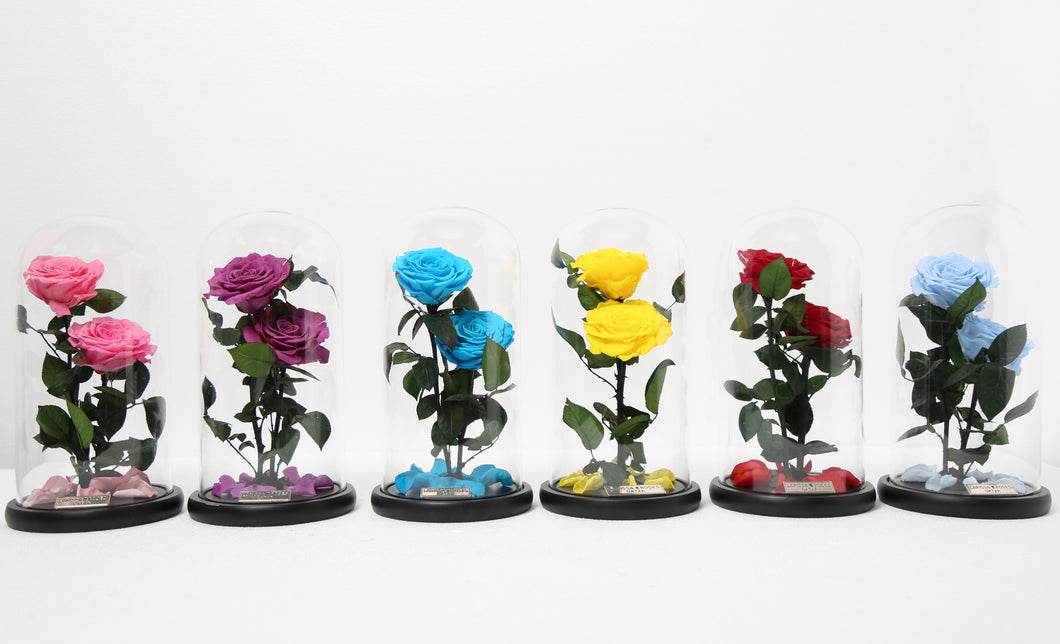 Tall 2 Preserved Roses - Larissa